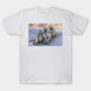 Grooming Baboons - Kruger Nationalpark, South Africa T-Shirt